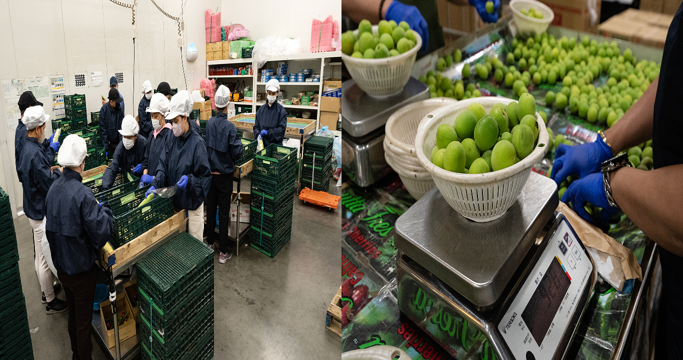 物流部門の背景画像